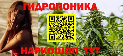 a pvp Дубна